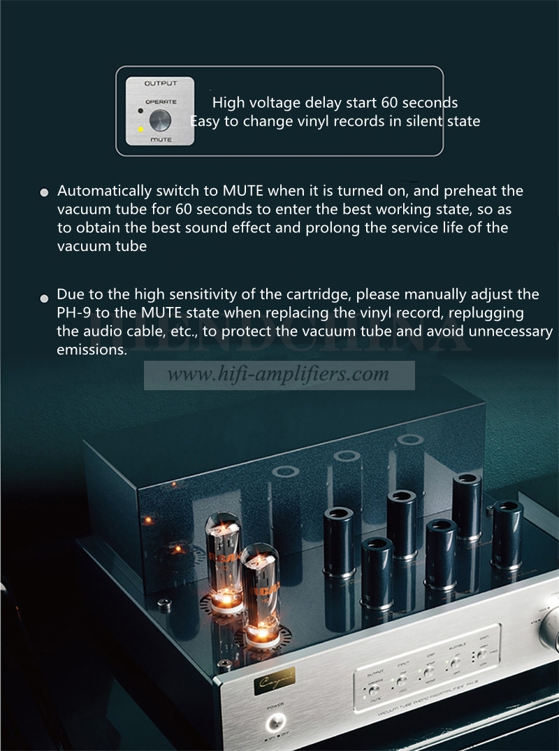 Cayin PH-9 HIFI vacuum tube phono amplifier MC gain three-speed adjustment supports MM/MC