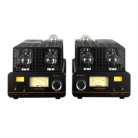 Mona 300B Push 845 High-Power Single-Ended Class a Tube Amplifier Mono-block Power Amplifier A Pair